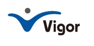 株式会社ヴィゴール